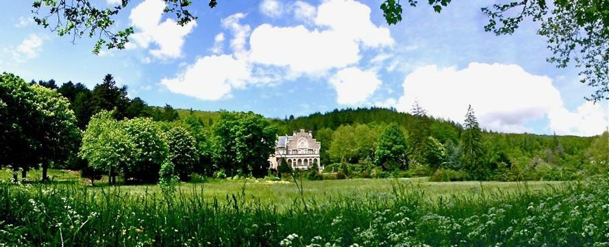 Chateau Du Mazel Bed & Breakfast Alzon Eksteriør bilde